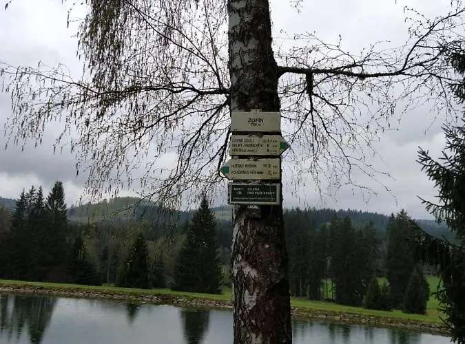 Alenka Hudecci Louka *